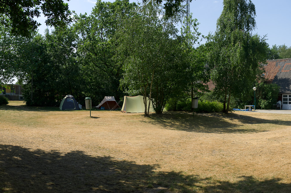 1007012334.jpg